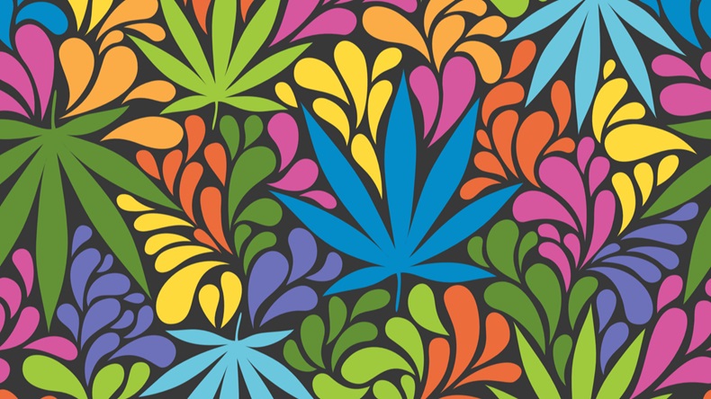 Cannabis Pattern