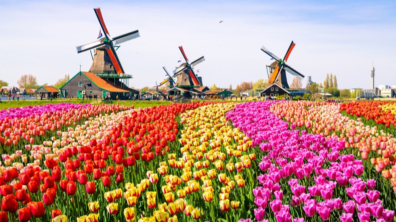 Netherlands_Windmill