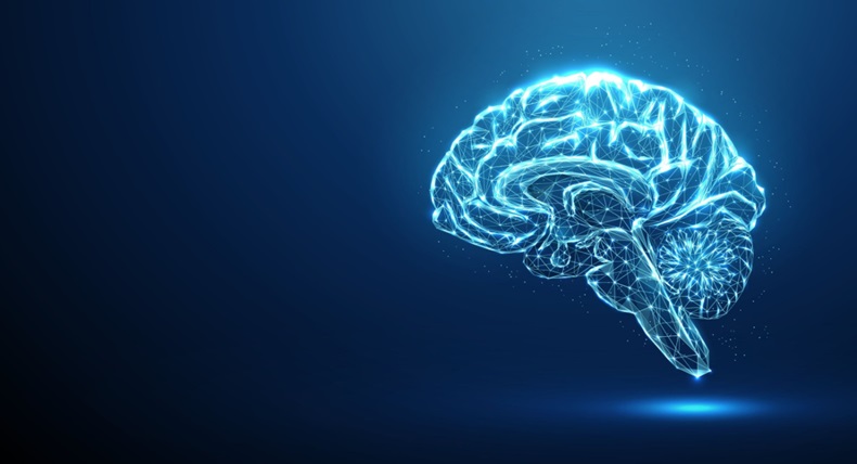 Abstract blue brain. Brain anatomy. 