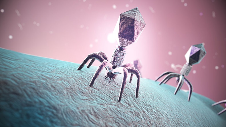 3d render Bacteriophage viruses infecting bacterial cell